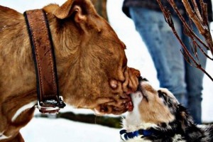 397024_10200169116300551_1282800416_n (1)