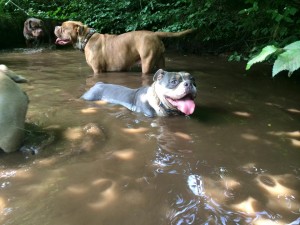 11143554_874060979341123_1622029997946340182_n