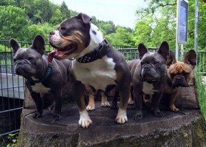 11295658_847734201973801_773601609797206141_n