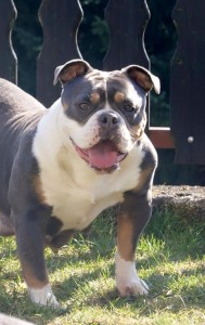 11709540_870716826342205_232761932314758665_n