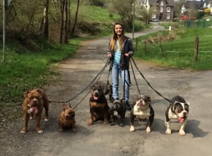 12994429_1017003791713507_5290387091602802372_n