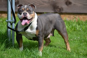 550427_491495254209535_1760986740_n